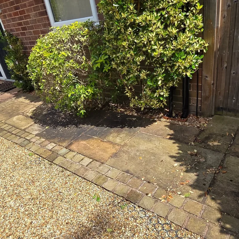 RJ Garden Services project 2